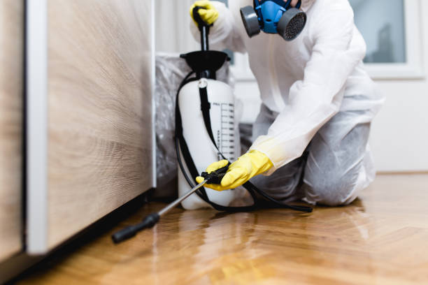 Best Pest Removal Services  in South Gull Lake, MI