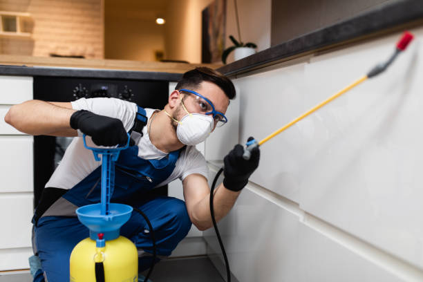 Best Best Pest Control Companies  in South Gull Lake, MI