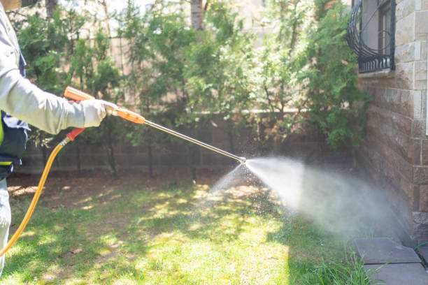 Best Rat Extermination Near Me  in South Gull Lake, MI
