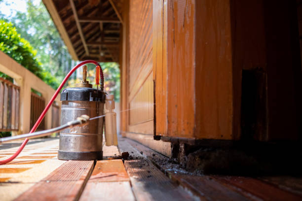 Best Rat Extermination Near Me  in South Gull Lake, MI