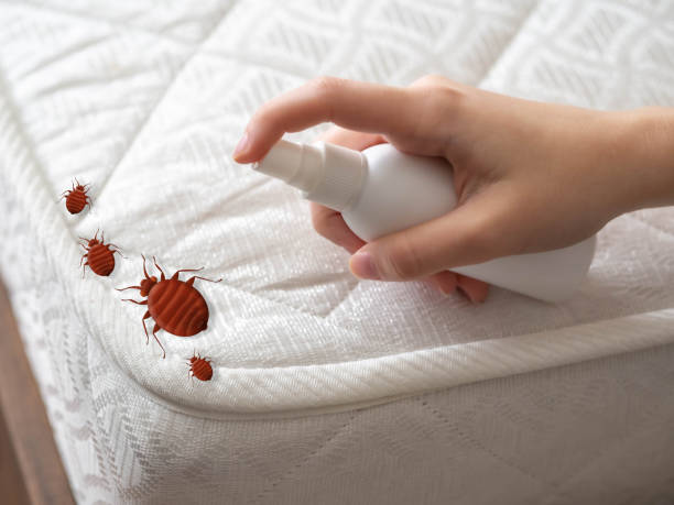 Best Termite Control Services  in South Gull Lake, MI