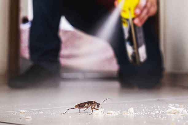 Trusted South Gull Lake, MI Pest Control Experts
