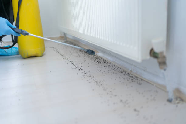 Best Cockroach Control Services  in South Gull Lake, MI