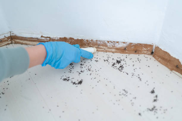 Best Exterminator Services  in South Gull Lake, MI