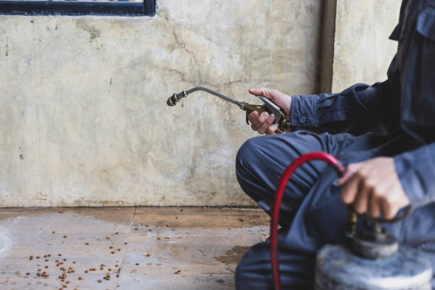 Best Affordable Pest Control Services  in South Gull Lake, MI